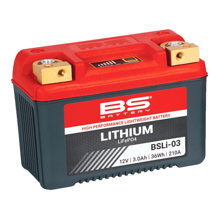 bs_battery_li_fe_po4_lithium_battery_750x750